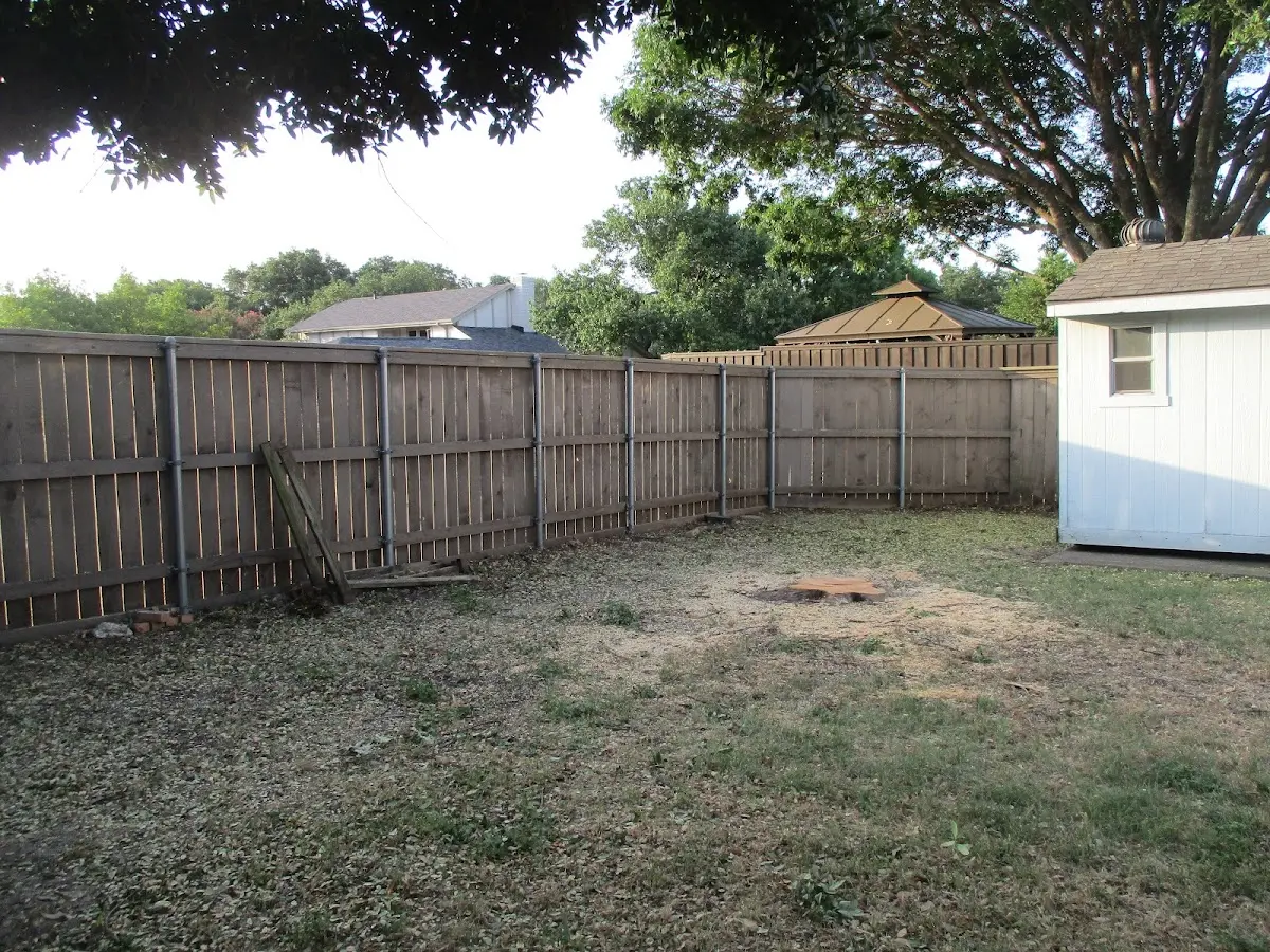 Cleared yard after professional tree removal in Nekoosa