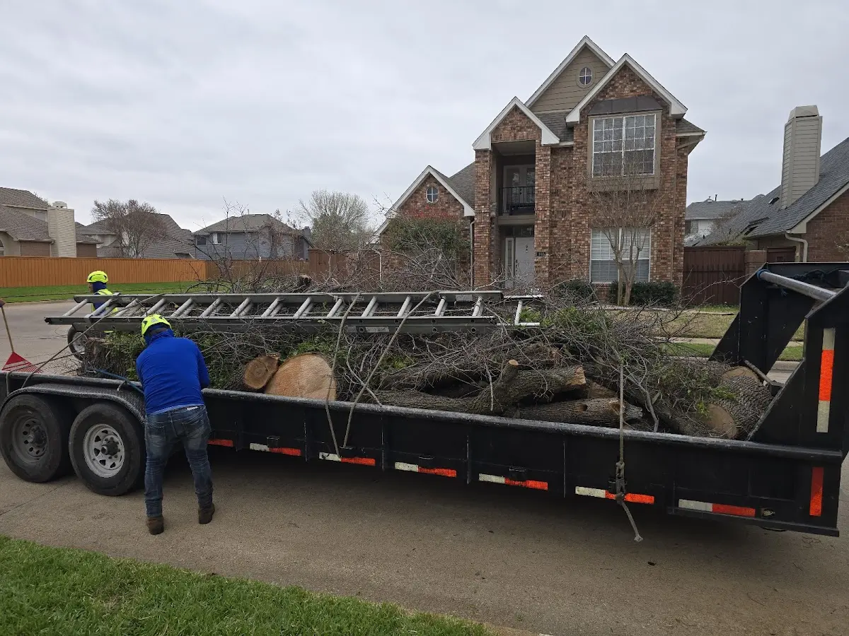 Expert Tree Fertilization with proper safety equipment in Nekoosa